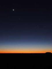 The Beloved Physicia