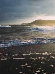 Shen Ning, Ran, Bo J