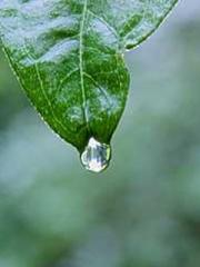 lt;Diga: From Jetton