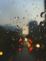 Transmigration: Feel