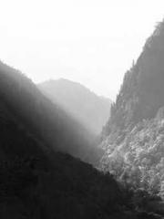 Double Blessing: CEO