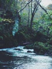 lt;Mr. Bao, Mrs. Bao