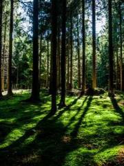 Meng Jinyu Gu Jingxi