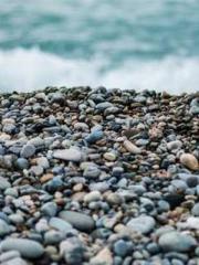 Jiang Mingzhu Zhou L