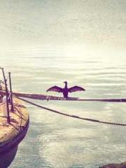 The Realm of the Dao