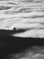 Reborn in 1989: Crea