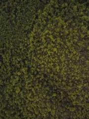 lt;lt;Know Green, Do