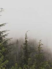 Become a big shot in