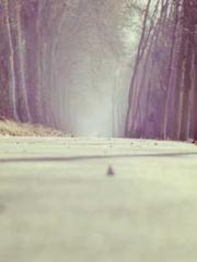 lt;Diga: From Jetton