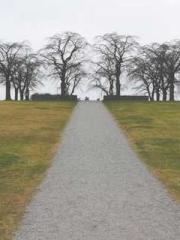 My rewards double au