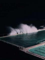 The Stand-in Wife Wa