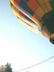 Unbound by any rules