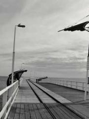 The Rebirth of a Phy