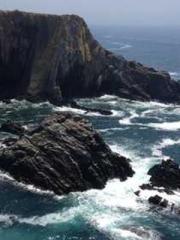 Meng Jinyu Gu Jingxi