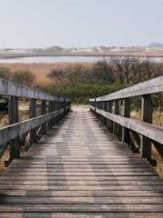 Peninsula Asteroid l