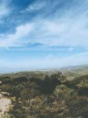 Unbound by any rules