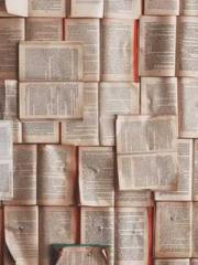 Rong Shao Nan Ning Y