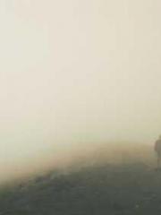 Falling for You: The