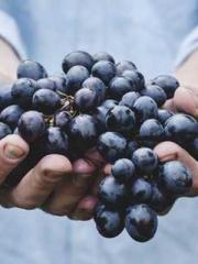 A Heavenly Gift: The