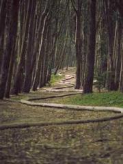 Double Blessing: CEO