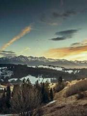 Professor Yan is goi