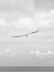 Cultivating My Empre