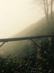 King of Nine Profoun