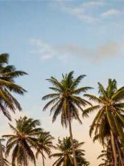 The Realm of the Dao