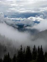 Morning sickness aft