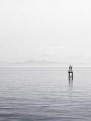 Transmigrated to the