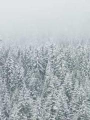 My stunning aunt lt;