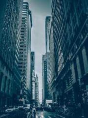 The Rough Man Hunter