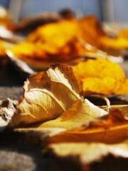 Do not deprive me of