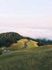 The Realm of the Dao