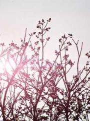 The Sovereign of the