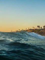 lt;Liang Yimo Cold N