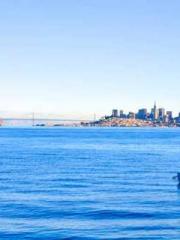 lt;Natural Disasters