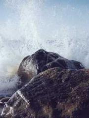 The Poisonous Doctor